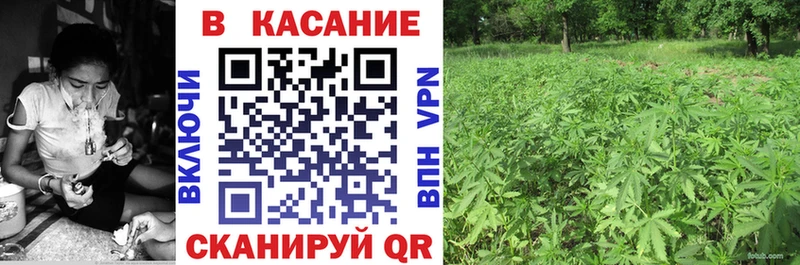 Купить закладку Агидель Псилоцибиновые грибы  мега ссылка  Альфа ПВП  ГАШИШ  Марихуана  Мефедрон 