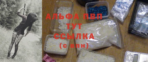 ешки Снежинск