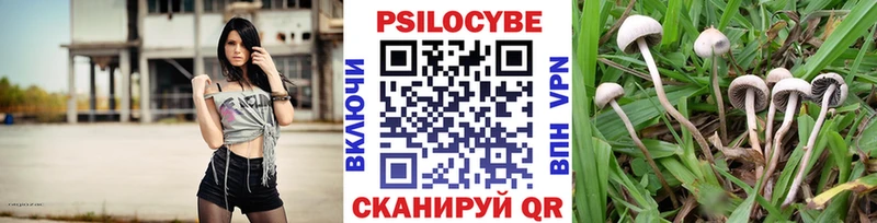 продажа наркотиков  Агидель  Галлюциногенные грибы GOLDEN TEACHER 